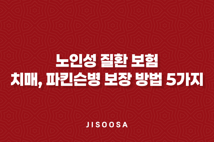 노인성 질환 보험