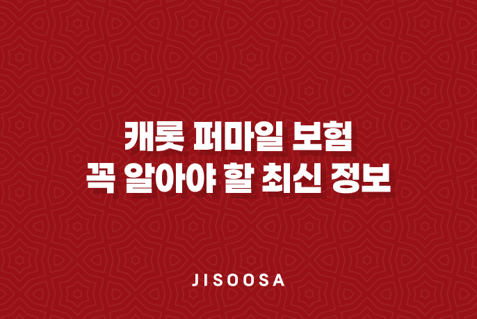 캐롯 퍼마일 보험