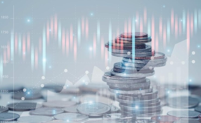 헤지펀드 VS 사모펀드 어떤 것이 적합한가?