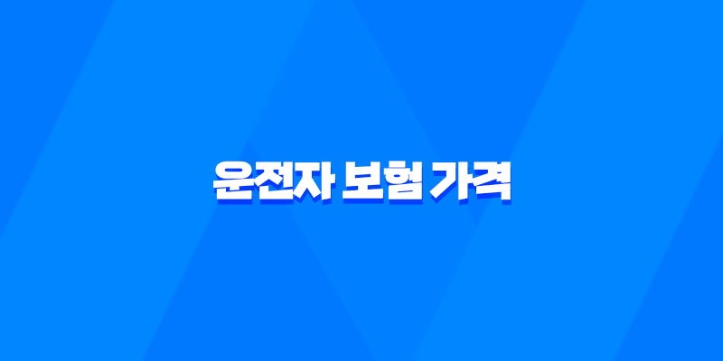 2025년 운전자 보험 가격 완전 분석 - 최적의 보험 찾기 7