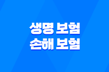 생명 보험 손해 보험 : 2025년 완벽 비교 가이드 - 차이점, 장단점, 겸영 금지 이유 17