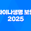 라이나생명 보험 2025 - 고객센터, 보험금 청구, 해지, 상품 완벽 가이드 3