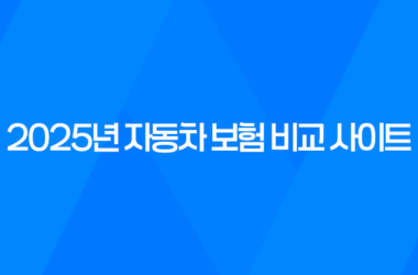 2025년 자동차 보험 비교 사이트 완벽 분석 - 나에게 맞는 최적의 보험 찾기 9