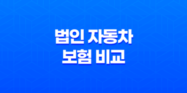 똑똑하게 법인 자동차 보험 비교하는 5가지 방법 - 보험료, 임직원 범위, DB까지 꼼꼼하게! 45