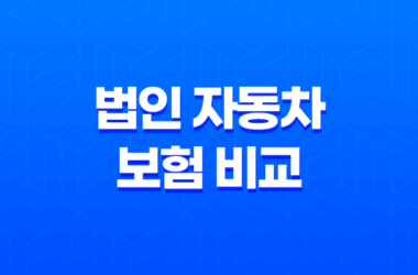똑똑하게 법인 자동차 보험 비교하는 5가지 방법 - 보험료, 임직원 범위, DB까지 꼼꼼하게! 15