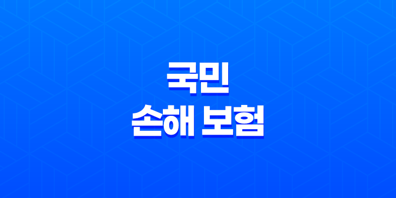 2025년 국민 손해 보험 완벽 가이드 - 종류, 혜택, 가입, 청구, 고객센터 정보 총정리 7