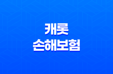캐롯 손해보험 2025 - 퍼마일 자동차 보험부터 990 운전자 보험까지 완벽 분석 5
