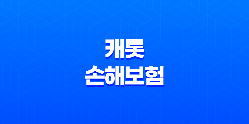 캐롯 손해보험 2025 - 퍼마일 자동차 보험부터 990 운전자 보험까지 완벽 분석 8 캐롯 손해보험 2025 - 퍼마일 자동차 보험부터 990 운전자 보험까지 완벽 분석 7