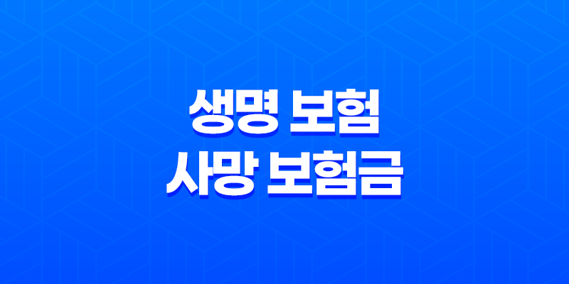 생명 보험 사망 보험금 : 2025년 알아야 할 모든 것 - 종류, 절차, 세금, 현명한 선택 가이드 8 생명 보험 사망 보험금 : 2025년 알아야 할 모든 것 - 종류, 절차, 세금, 현명한 선택 가이드 7