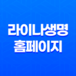 2025년 라이나생명 홈페이지에서 확인하는 고객 맞춤 정보와 혜택 총정리 3