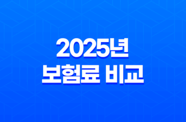 2025년 보험료 비교, 어떻게 해야 가장 저렴할까? - 유형별 맞춤 가이드와 절약 꿀팁 9