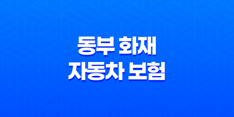 동부 화재 자동차 보험 DB손해보험 자동차보험 2025년 최신 정보 총정리 - 가입, 혜택, 긴급출동, 사고 접수, 고객센터 8 동부 화재 자동차 보험 DB손해보험 자동차보험 2025년 최신 정보 총정리 - 가입, 혜택, 긴급출동, 사고 접수, 고객센터 7
