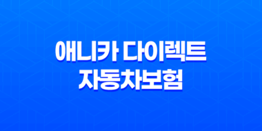 애니카 다이렉트 자동차보험 2025년 최신 정보 - 1등 보험료 절약 가이드 35