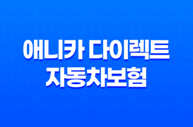 애니카 다이렉트 자동차보험 2025년 최신 정보 - 1등 보험료 절약 가이드 15