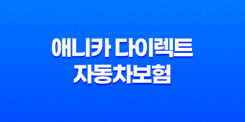 애니카 다이렉트 자동차보험 2025년 최신 정보 - 1등 보험료 절약 가이드 8 애니카 다이렉트 자동차보험 2025년 최신 정보 - 1등 보험료 절약 가이드 7