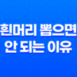 7가지 이유로 흰머리 뽑으면 안 되는 이유 13