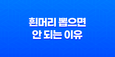 7가지 이유로 흰머리 뽑으면 안 되는 이유 81