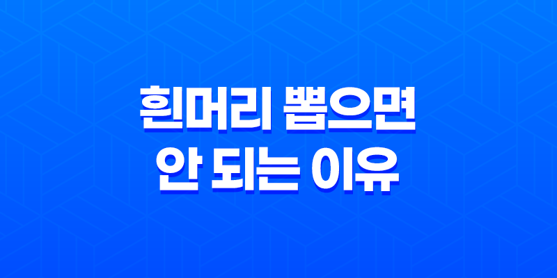 7가지 이유로 흰머리 뽑으면 안 되는 이유 8 7가지 이유로 흰머리 뽑으면 안 되는 이유 7