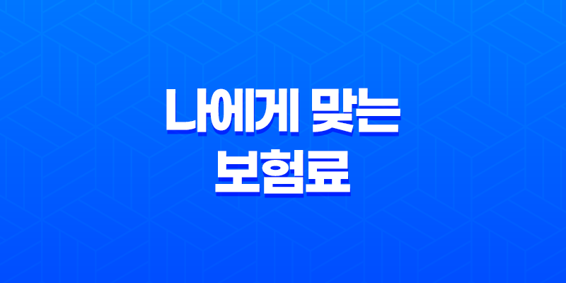적정 보험료 - 나에게 맞는 보험료는 얼마일까요? - 2025년 최신 정보 8 적정 보험료 - 나에게 맞는 보험료는 얼마일까요? - 2025년 최신 정보 7