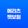 메리츠 펫보험 - 2025년 최신 정보와 가입 후기, 꼼꼼 분석까지! 23