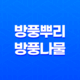 방풍뿌리 및 방풍나물에 대해 알아보자 11