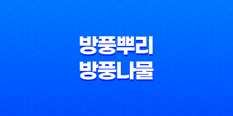 방풍뿌리 및 방풍나물에 대해 알아보자 8 방풍뿌리 및 방풍나물에 대해 알아보자 7