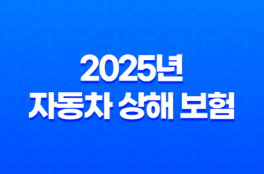 2025년 자동차 상해 보험 완벽 분석 - 현명한 가입 가이드와 10억 한도 추천 21