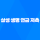 삼성 생명 연금 저축 - 2025년, 현명한 노후 준비를 위한 7가지 핵심 전략 40