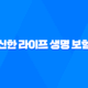 신한 라이프 생명 보험 - 2025년 당신의 미래를 위한 최고의 선택! 92