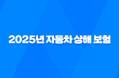 2025년 자동차 상해 보험 완벽 분석 - 현명한 가입 가이드와 10억 한도 추천 15
