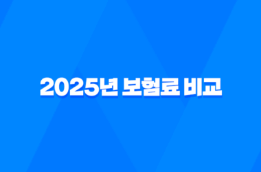 2025년 보험료 비교, 어떻게 해야 가장 저렴할까? - 유형별 맞춤 가이드와 절약 꿀팁 11