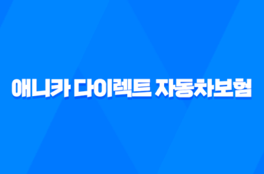 애니카 다이렉트 자동차보험 2025년 최신 정보 - 1등 보험료 절약 가이드 17