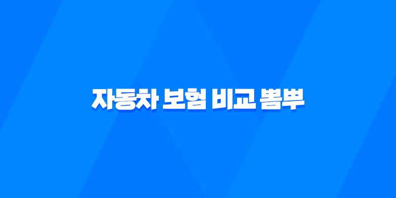 2025년 자동차 보험 비교 뽐뿌 - 최신 정보 총정리 및 저렴하게 가입하는 방법 7