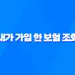 내가 가입 한 보험 조회 - 2025년, 잊고 있던 내 보험 똑똑하게 확인하는 7가지 방법 1
