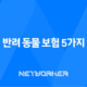 반려 동물 보험 5가지 핵심 전략 - 2025년 현명하게 선택하기 20