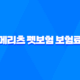 2025년 메리츠 펫보험 보험료 상세 분석과 후기 비교 53