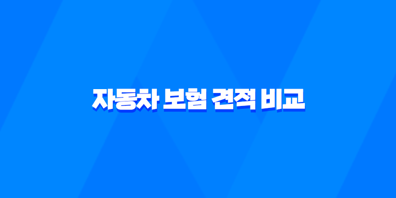 2025년 자동차 보험 견적 비교 - 100만원 절약하는 방법 7