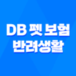 2025년 DB 펫 보험 반려생활 - DB 펫 보험의 모든 것 파헤치기 5