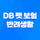 2025년 DB 펫 보험 반려생활 - DB 펫 보험의 모든 것 파헤치기 32