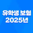 유학생 보험 - 2025년 유학생 보험 완벽 가이드 : 종류, 추천, 비교, 가입, 혜택 총정리 5