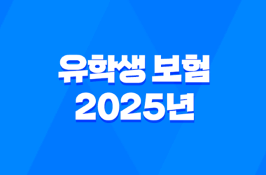 유학생 보험 - 2025년 유학생 보험 완벽 가이드 : 종류, 추천, 비교, 가입, 혜택 총정리 9