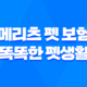 2025년 똑똑한 펫생활 - 메리츠 펫 보험 파헤치기 23