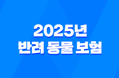 2025년 반려 동물 보험 A to Z 파헤치기 - 슬기로운 펫생활 11