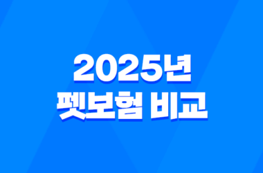 2025년 펫보험 비교 - 10가지 핵심 질문과 답변, 완벽 가이드 9