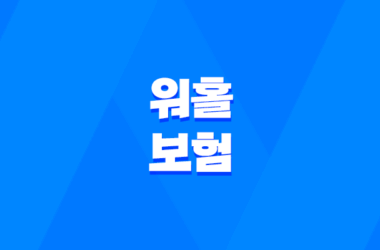 2025년 워홀 보험, 완벽 가이드 - 종류, 가격, 혜택, 가입, 연장, 해지, 그리고 디시 후기까지! 7