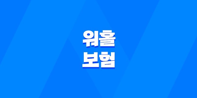 2025년 워홀 보험, 완벽 가이드 - 종류, 가격, 혜택, 가입, 연장, 해지, 그리고 디시 후기까지! 8 2025년 워홀 보험, 완벽 가이드 - 종류, 가격, 혜택, 가입, 연장, 해지, 그리고 디시 후기까지! 7