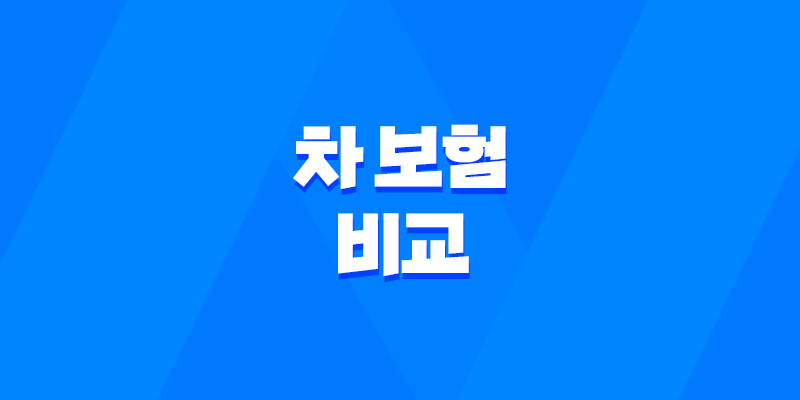 2025년 차 보험 비교 - 꼼꼼하게 따져보고 내게 맞는 보험 찾기! 8 2025년 차 보험 비교 - 꼼꼼하게 따져보고 내게 맞는 보험 찾기! 7
