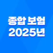 종합 보험 2025년 완벽 가이드, 10가지 핵심 질문과 전문가 상세 분석 3
