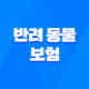 반려 동물 보험 5가지 핵심 전략 - 2025년 현명하게 선택하기 53