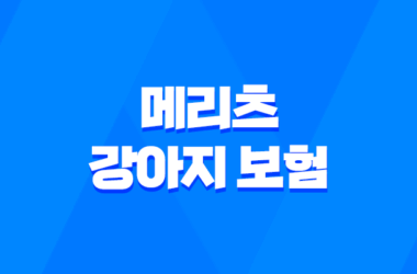 2025년 맞춤 메리츠 강아지 보험 - 꼼꼼 비교 분석으로 우리 댕댕이에게 딱 맞는 보험 찾기 13